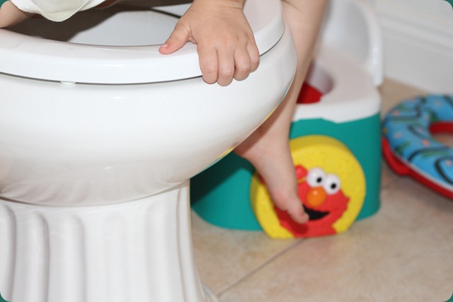 WW seat in house potty