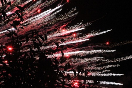 4th of july in pix (6)