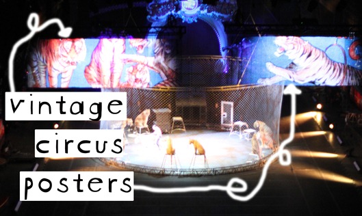 circus 1