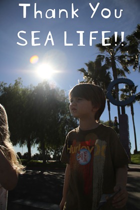 thank you sea life