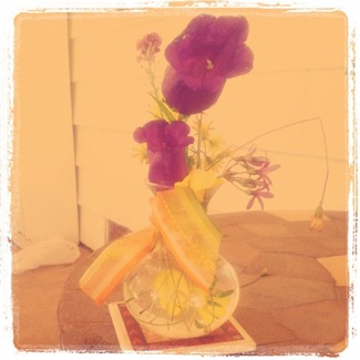 wild flowers