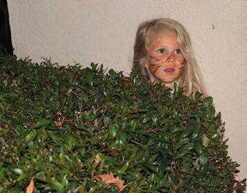 hide in bushes