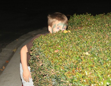 hide in bushes