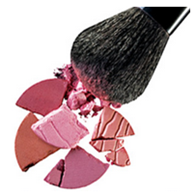 Shel Cosmetics