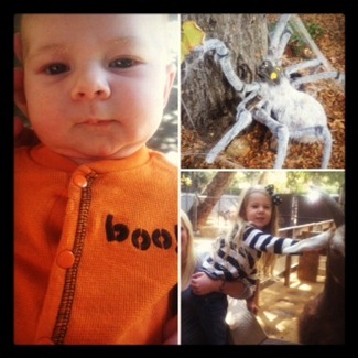 Halloween Zootacular
