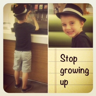Eli's Lids fedora