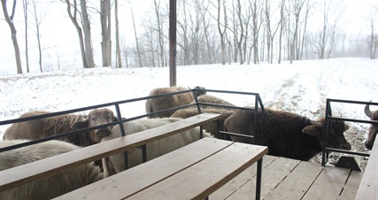 The Farm at Walnut Creek