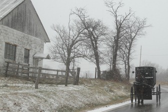 Amish buggies