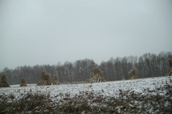 Amish farm