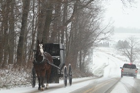 Amish buggies