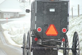 Amish buggies
