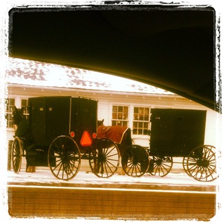 Amish buggies
