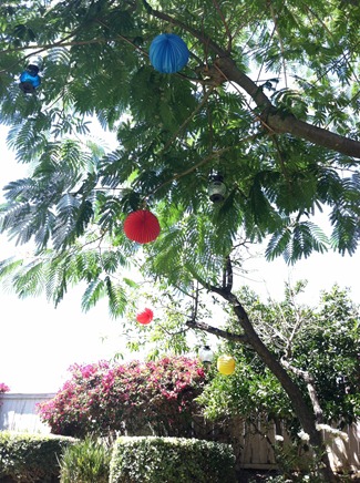rainbow lanterns