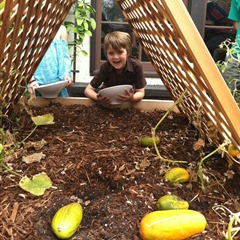 Harvest to Home at Greenleaf Chopshop