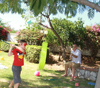 Angry Bird Birthday Party pinata