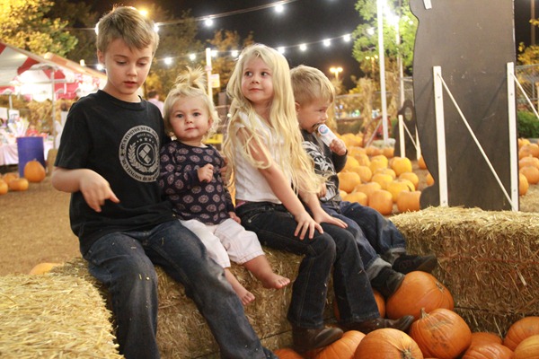 Pumpkin City in Orange County