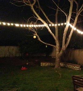 Backyard lights