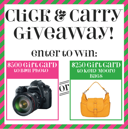 Eli's Lids Click & Carry Giveaway